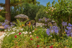 Quinta Paraiso da Mia Two bedroom apartment